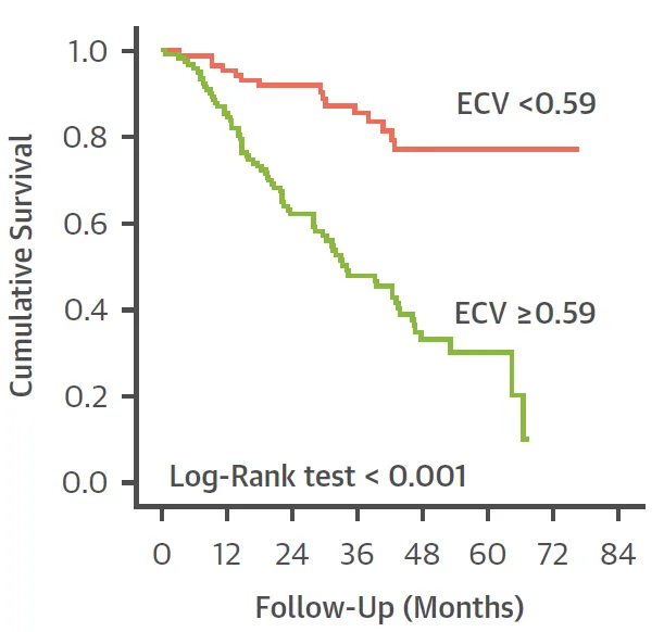 Amyloid - ECV prognosis