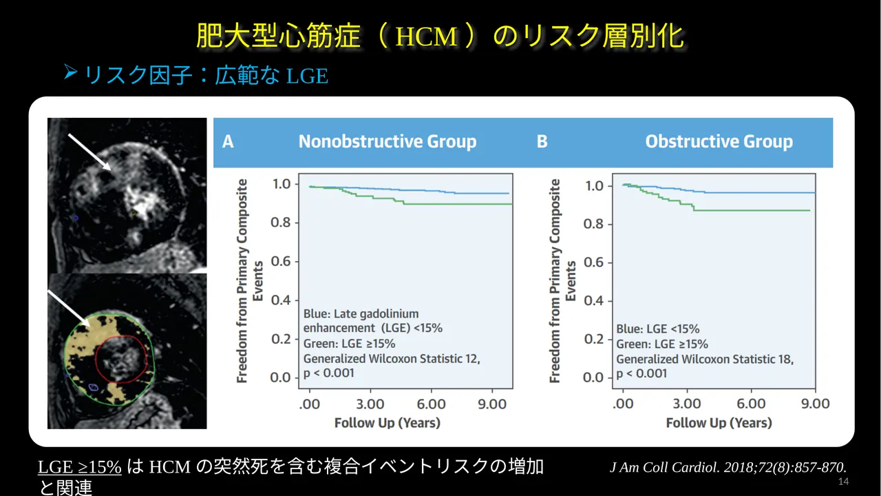 HCM LGE 15 percent slide