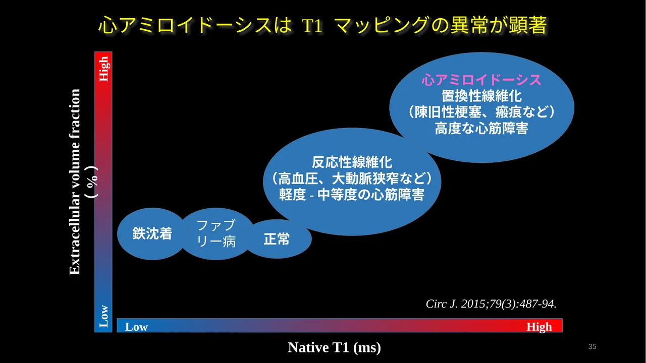 T1 ECV map slide